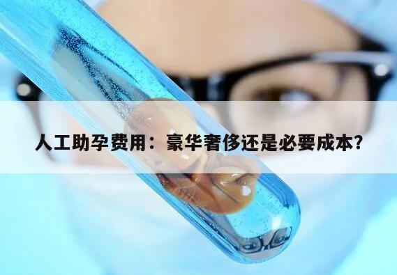 人工助孕费用：豪华奢侈还是必要成本？