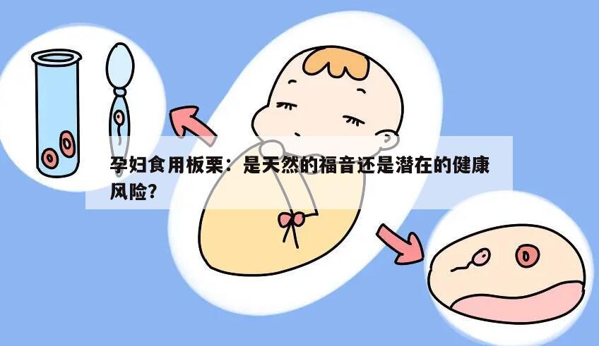 孕妇食用板栗：是天然的福音还是潜在的健康风险？