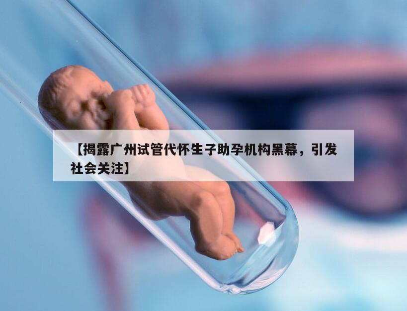 【揭露广州试管代怀生子助孕机构黑幕，引发社会关注】