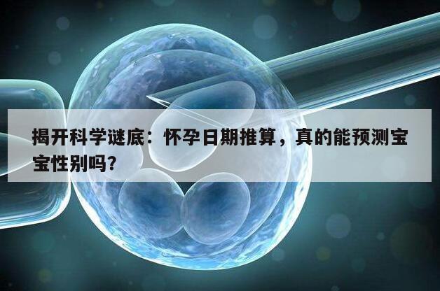 揭开科学谜底：怀孕日期推算，真的能预测宝宝性别吗？