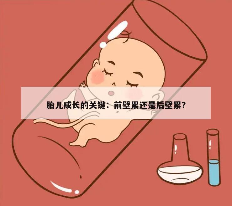 胎儿成长的关键：前壁累还是后壁累？