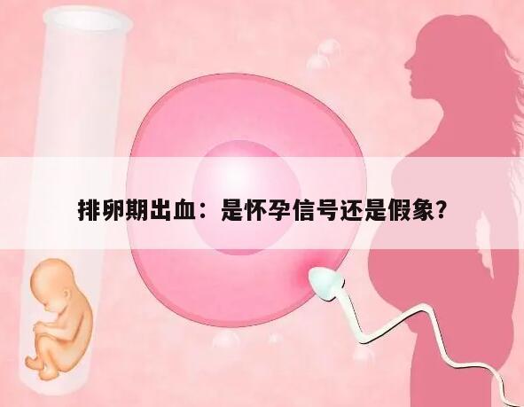 排卵期出血：是怀孕信号还是假象？