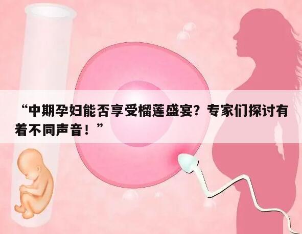 “中期孕妇能否享受榴莲盛宴？专家们探讨有着不同声音！”