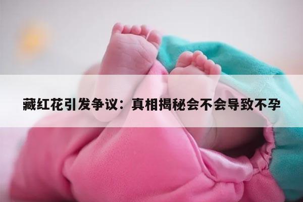 藏红花引发争议：真相揭秘会不会导致不孕