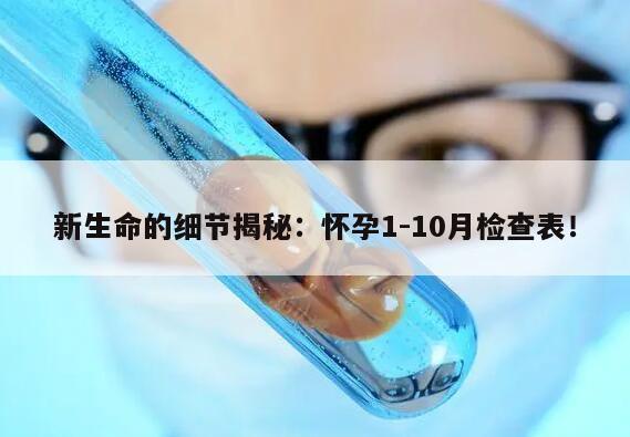 新生命的细节揭秘：怀孕1-10月检查表！