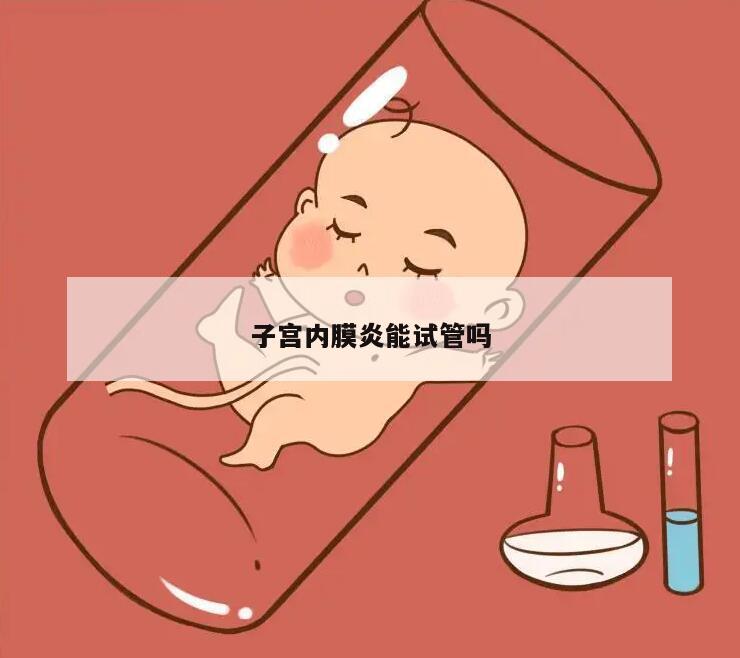 子宫内膜炎能试管吗