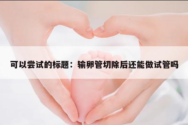 可以尝试的标题：输卵管切除后还能做试管吗