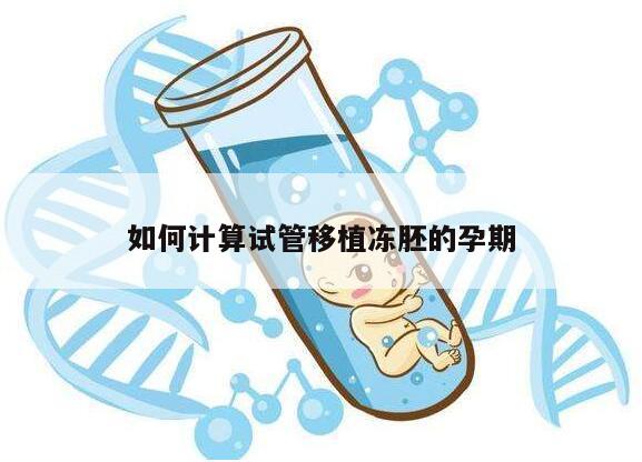 如何计算试管移植冻胚的孕期