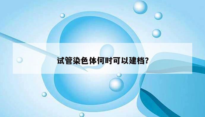 试管染色体何时可以建档？