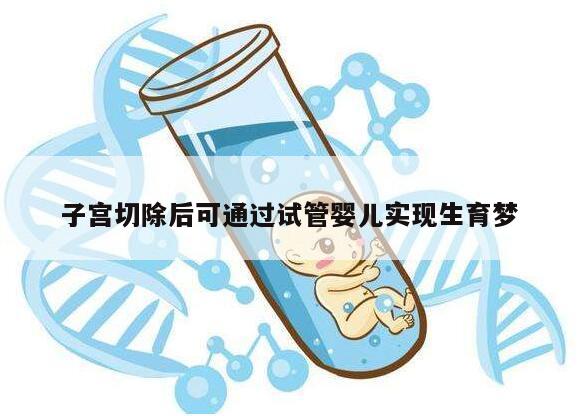 子宫切除后可通过试管婴儿实现生育梦