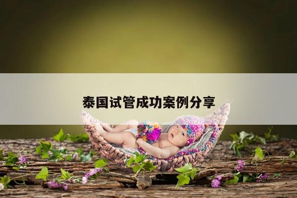 泰国试管成功案例分享