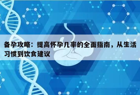 备孕攻略：提高怀孕几率的全面指南，从生活习惯到饮食建议