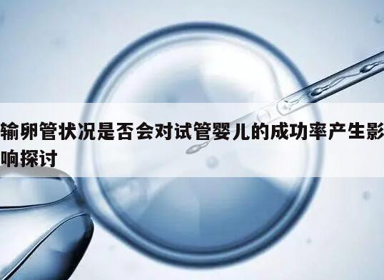 输卵管状况是否会对试管婴儿的成功率产生影响探讨