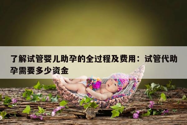 了解试管婴儿助孕的全过程及费用：试管代助孕需要多少资金