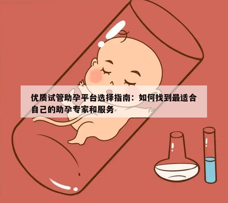 优质试管助孕平台选择指南：如何找到最适合自己的助孕专家和服务