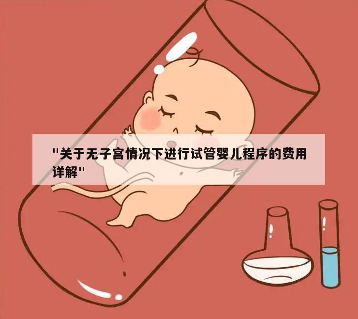 "关于无子宫情况下进行试管婴儿程序的费用详解"