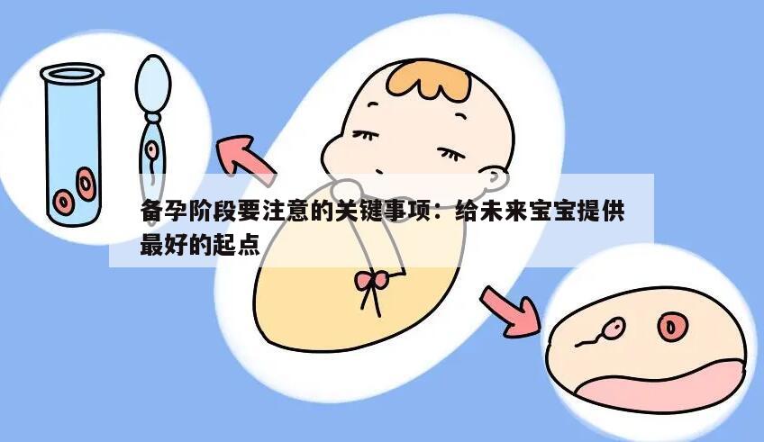 备孕阶段要注意的关键事项：给未来宝宝提供最好的起点