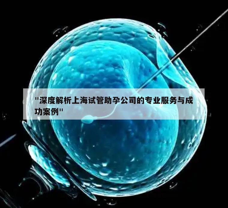"深度解析上海试管助孕公司的专业服务与成功案例"