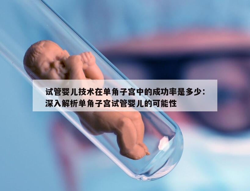 试管婴儿技术在单角子宫中的成功率是多少：深入解析单角子宫试管婴儿的可能性