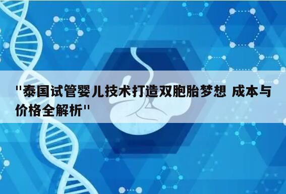 "泰国试管婴儿技术打造双胞胎梦想 成本与价格全解析"