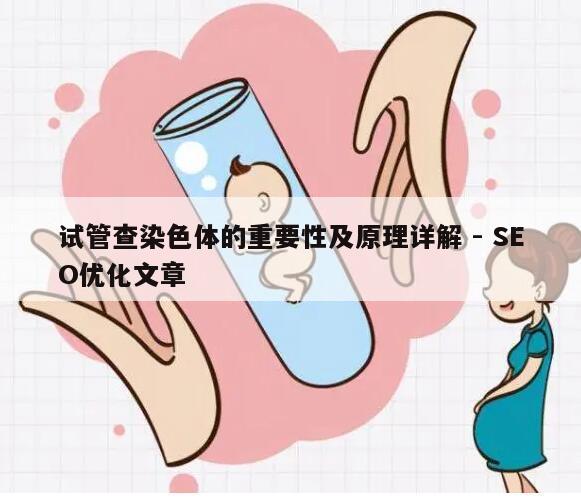 试管查染色体的重要性及原理详解 - SEO优化文章