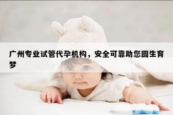 广州专业试管代孕机构，安全可靠助您圆生育梦