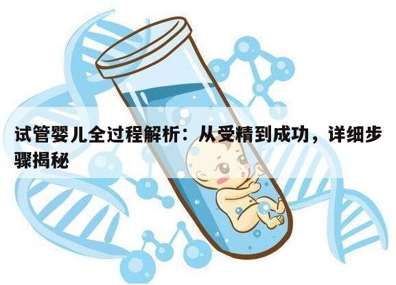 试管婴儿全过程解析：从受精到成功，详细步骤揭秘
