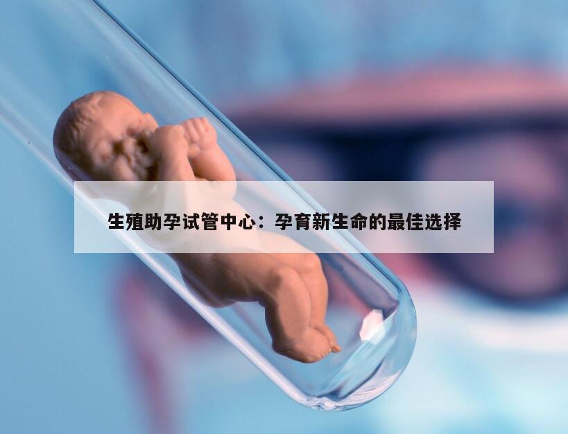 生殖助孕试管中心：孕育新生命的最佳选择