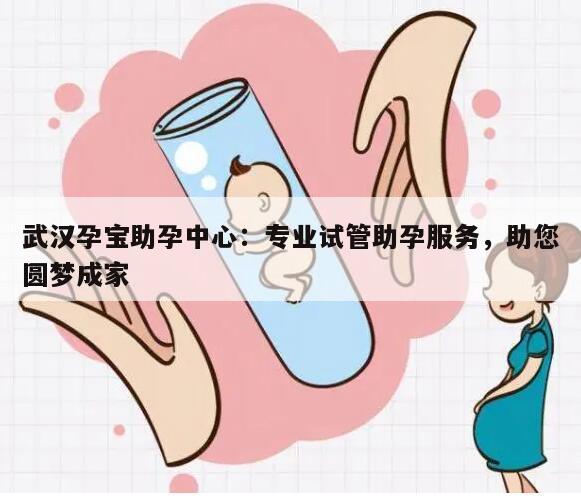 武汉孕宝助孕中心：专业试管助孕服务，助您圆梦成家