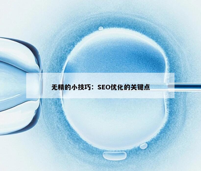 无精的小技巧：SEO优化的关键点