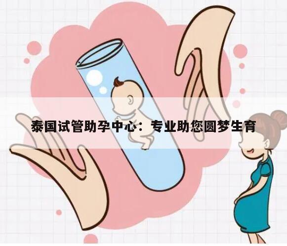 泰国试管助孕中心：专业助您圆梦生育
