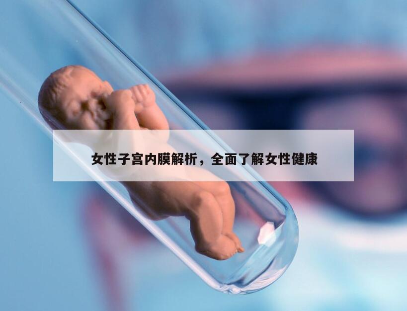 女性子宫内膜解析，全面了解女性健康