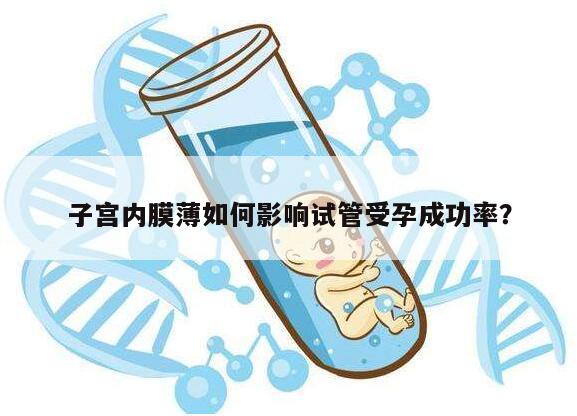 子宫内膜薄如何影响试管受孕成功率？