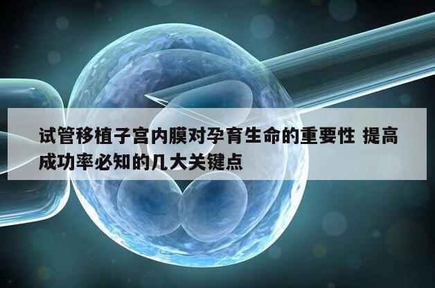 试管移植子宫内膜对孕育生命的重要性 提高成功率必知的几大关键点