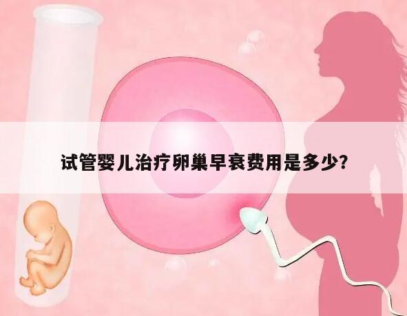 试管婴儿治疗卵巢早衰费用是多少？