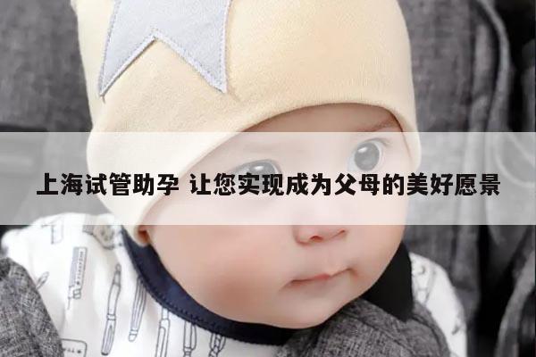 上海试管助孕 让您实现成为父母的美好愿景