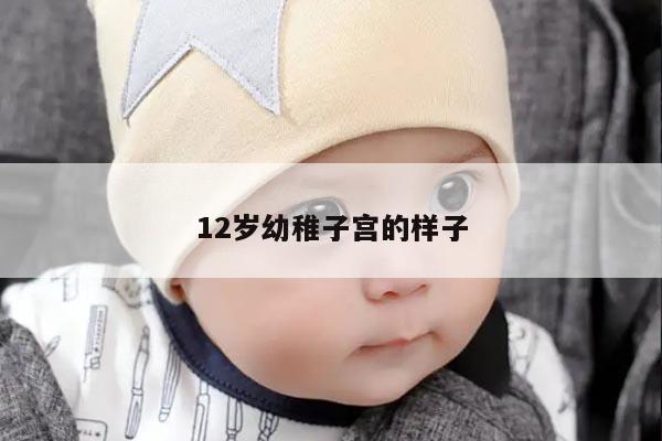 12岁幼稚子宫的样子