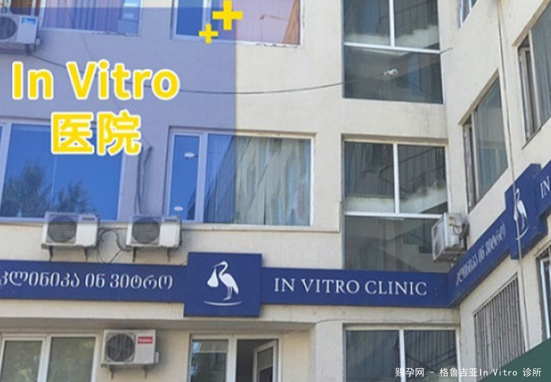 格鲁吉亚In Vitro 诊所