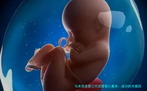 马来西亚第三代试管婴儿着床:成功的关键因素与实用建议