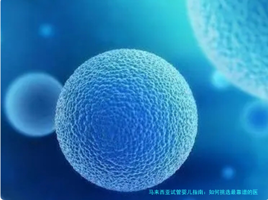 马来西亚试管婴儿指南:如何挑选最靠谱的医院?