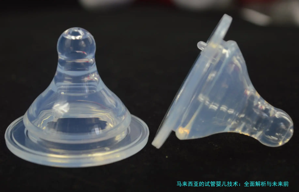 马来西亚的试管婴儿技术:全面解析与未来前景