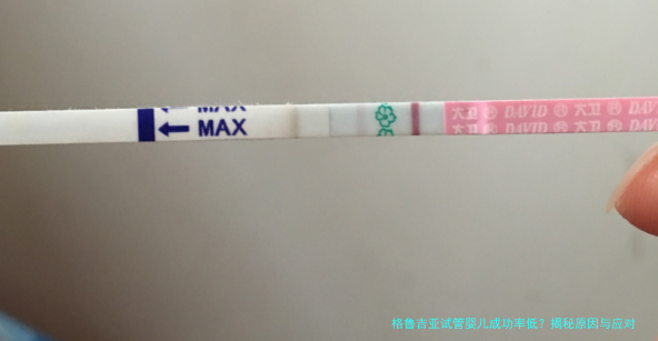 格鲁吉亚试管婴儿成功率低？揭秘原因与应对策略