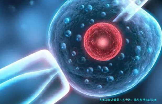 去美国做试管婴儿多少钱?揭秘费用构成与省钱攻略