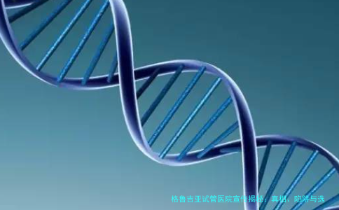 格鲁吉亚试管医院宣传揭秘：真相、陷阱与选择攻略