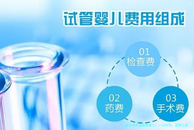 赴马来西亚试管婴儿：一次好孕，圆梦之旅