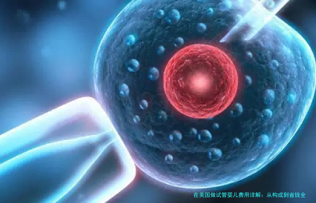 在美国做试管婴儿费用详解：从构成到省钱全攻略