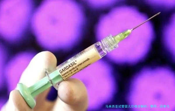 马来西亚试管婴儿价格全解析：费用、因素与实用建议