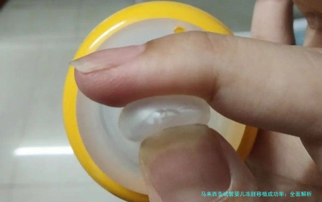 马来西亚试管婴儿冻胚移植成功率：全面解析与实用建议