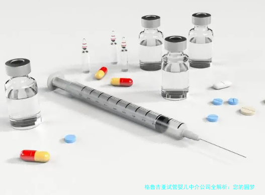 格鲁吉亚试管婴儿中介公司全解析：您的圆梦之旅从这里开始
