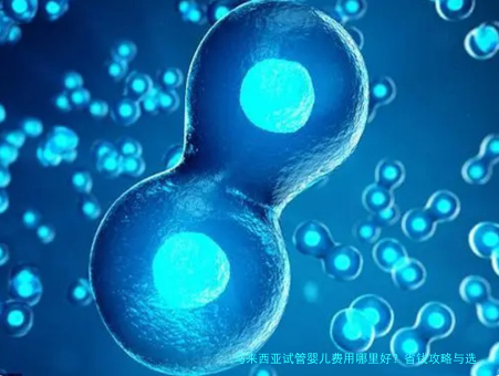 马来西亚试管婴儿费用哪里好？省钱攻略与选择指南